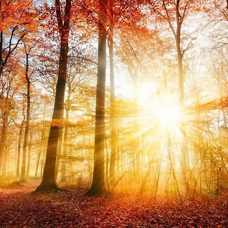 Great Private For Family Holidays And Cultural Outings Near Dei Marmi Recommended Villa