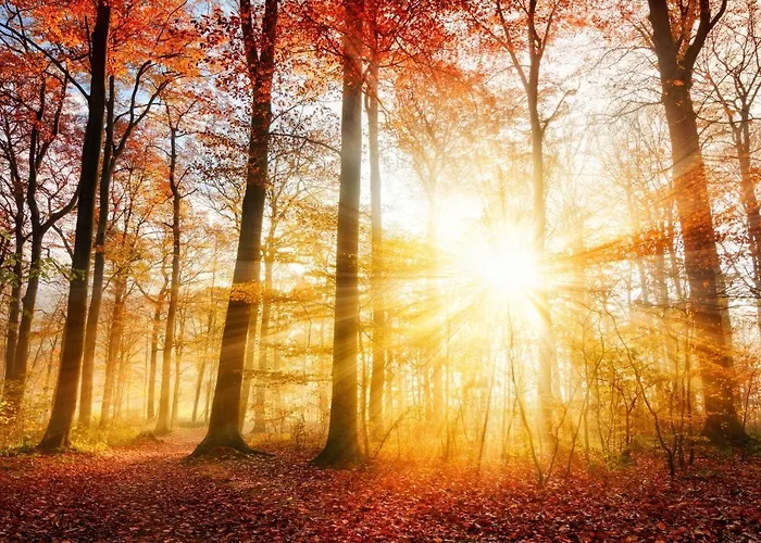 Great Private For Family Holidays And Cultural Outings Near Dei Marmi Recommended וילה